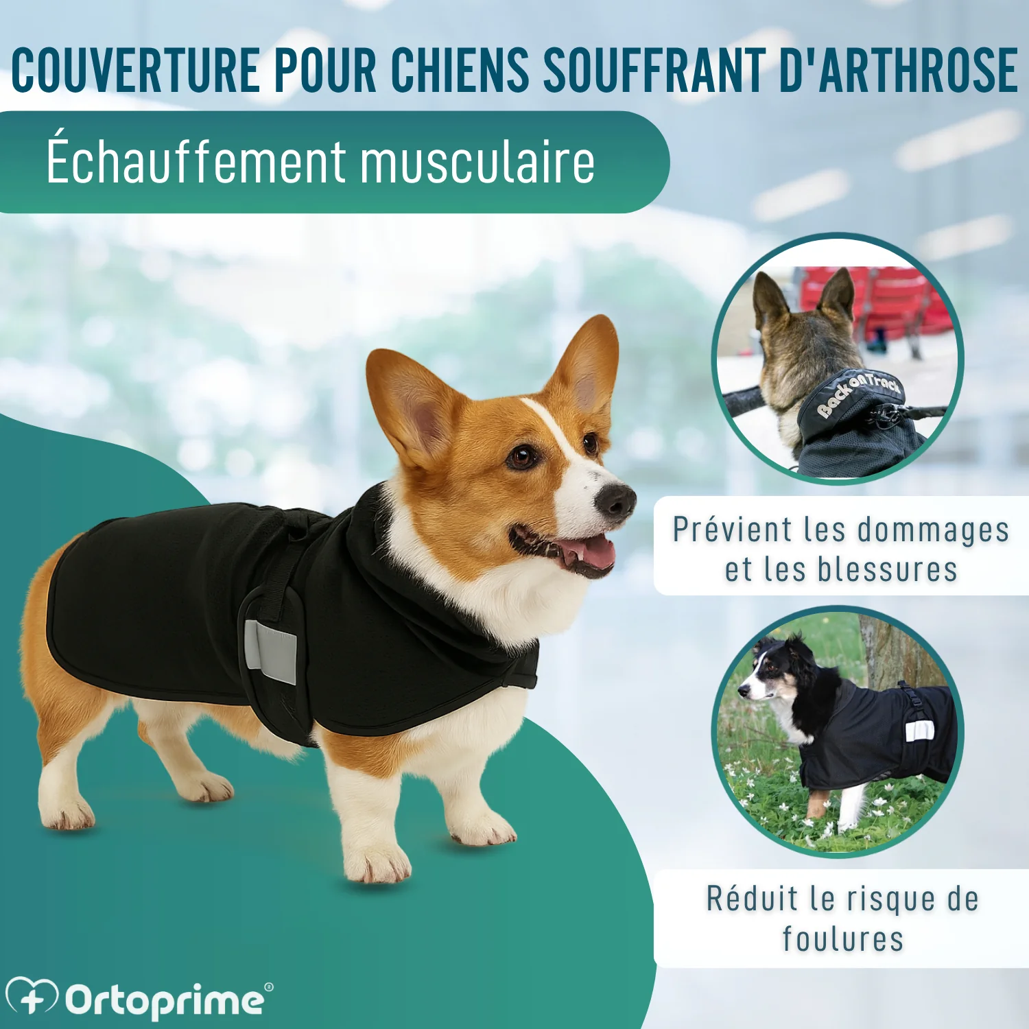Image du produit 4
