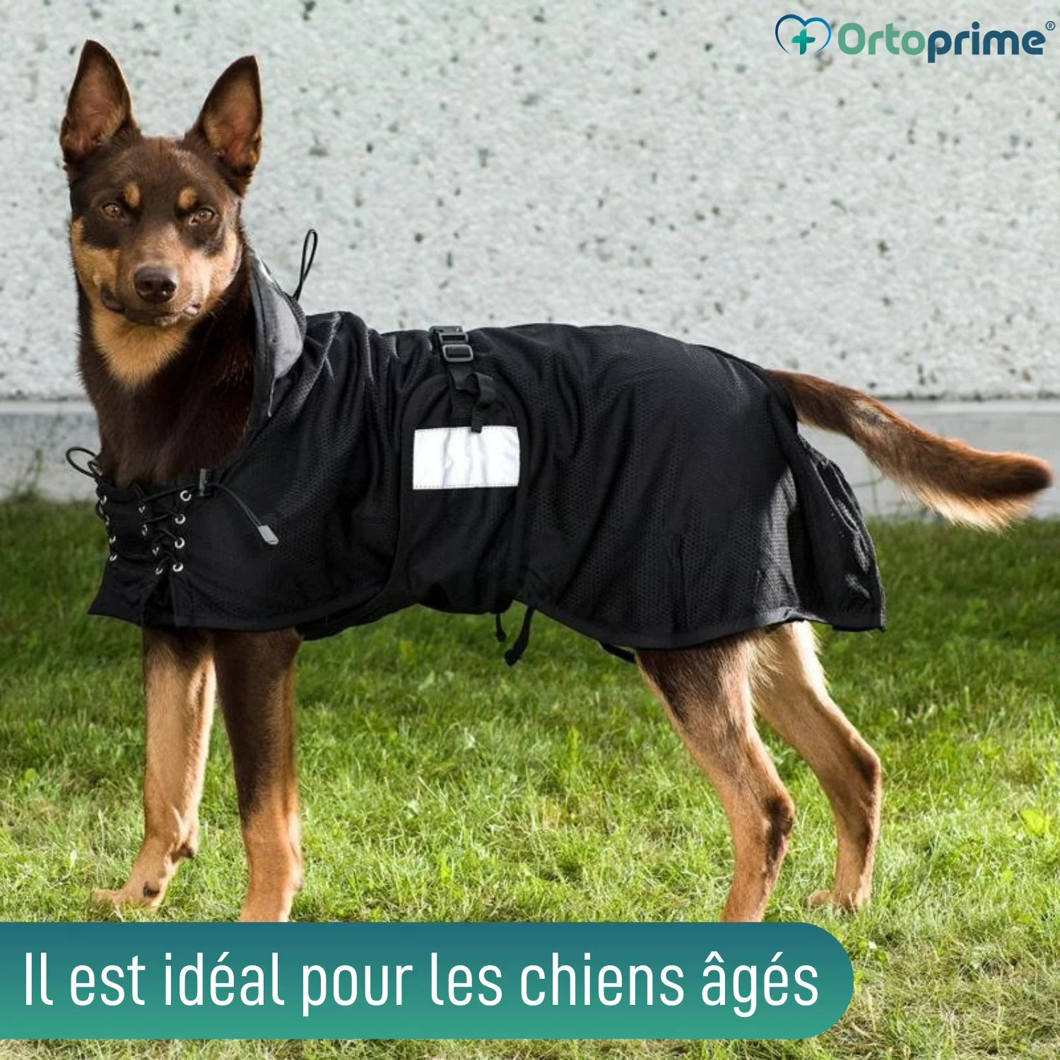 Image du produit 5