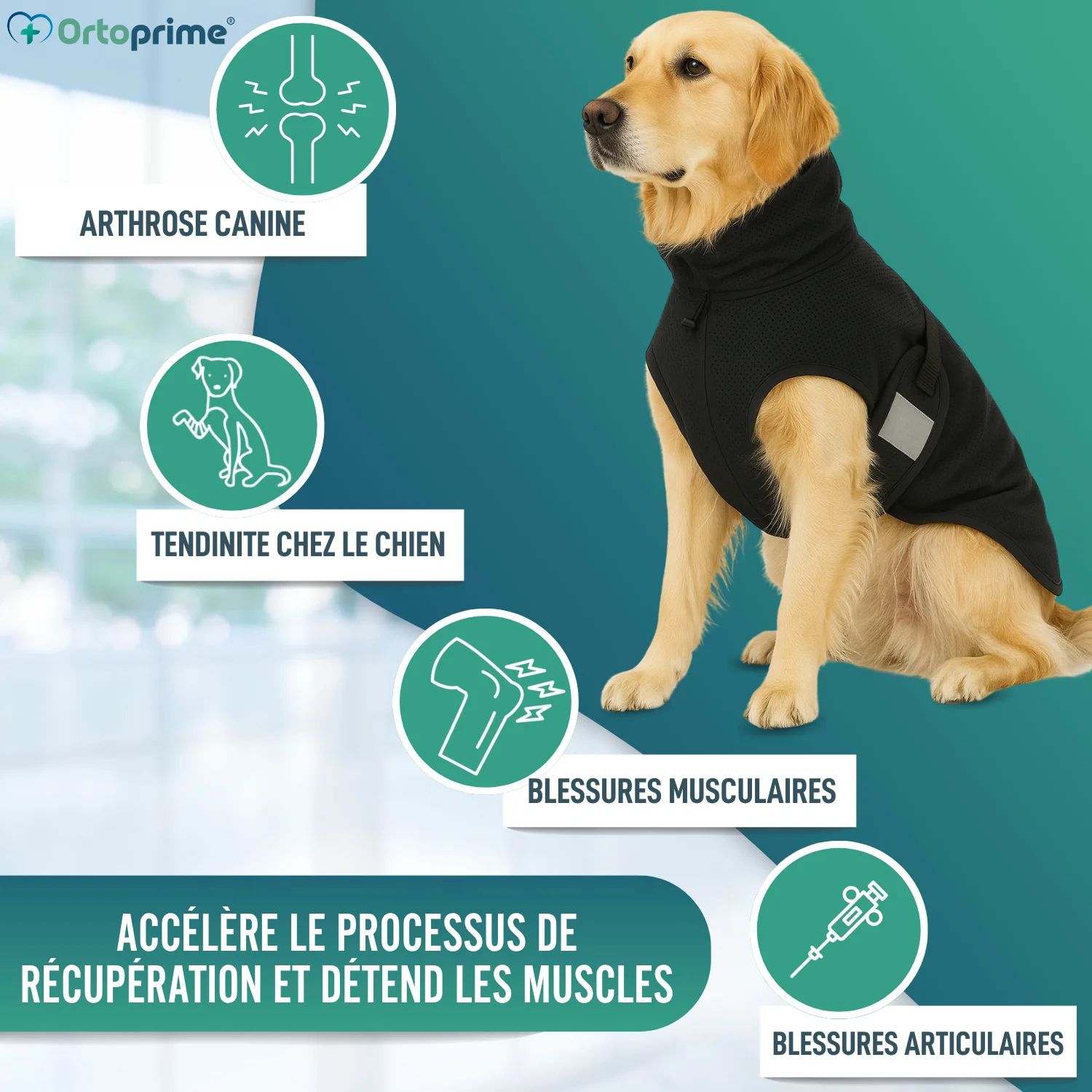 Image du produit 6