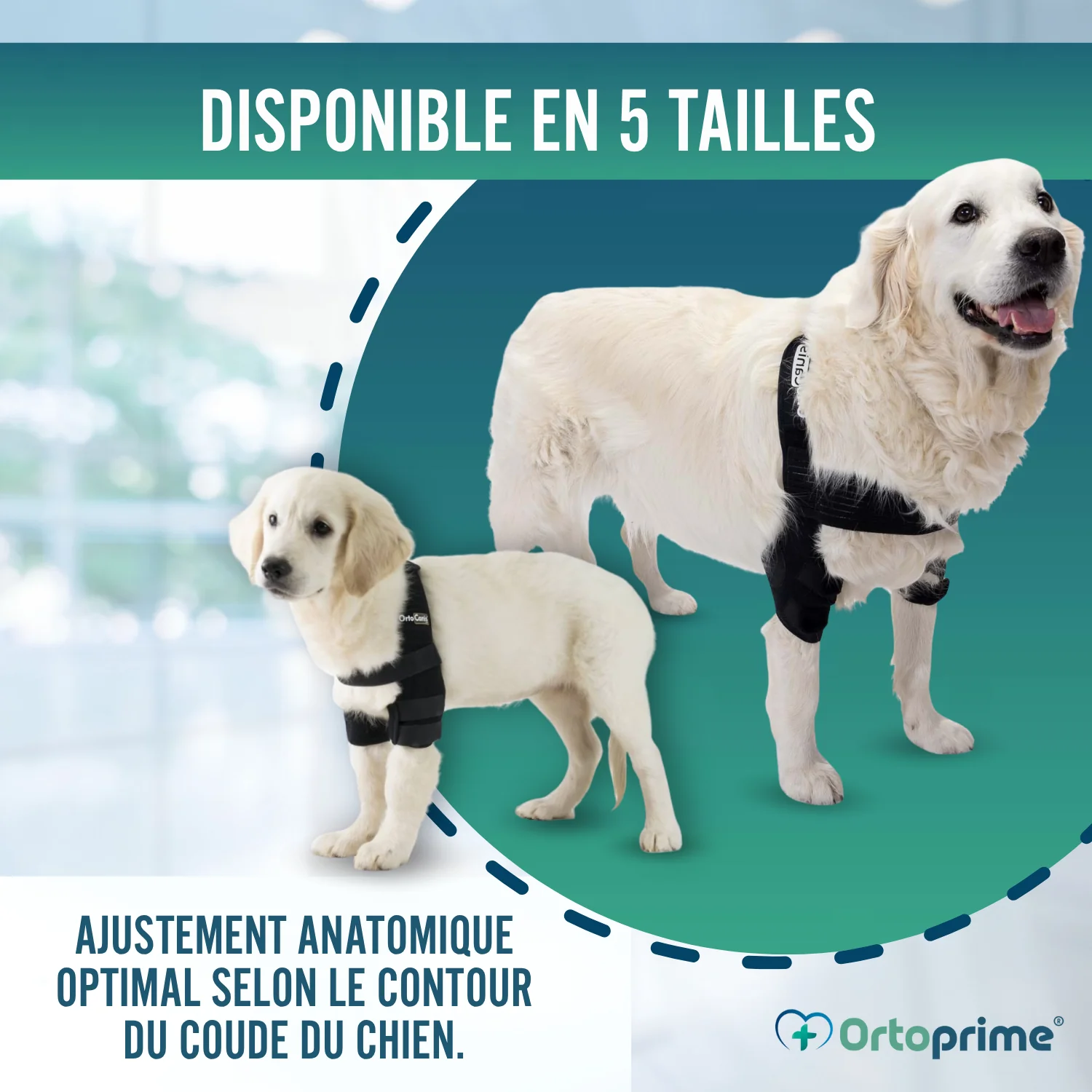 Image du produit 5